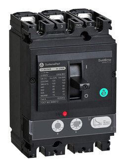 Systeme Electric SystemePact СCB Автоматический выключатель 250 150KA 3P3D TMD250